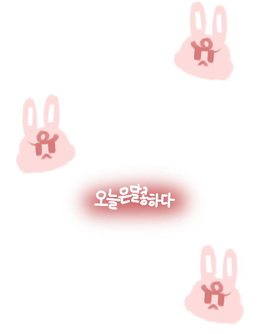 韩文兔子